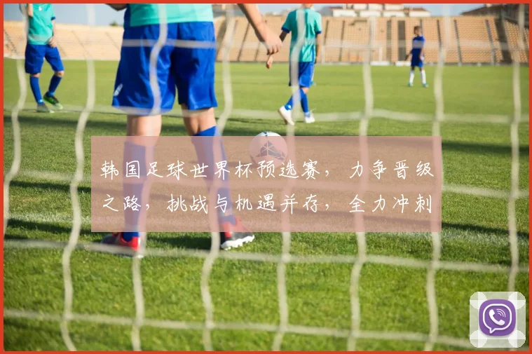 韩国足球世界杯预选赛，力争晋级之路，挑战与机遇并存，全力冲刺